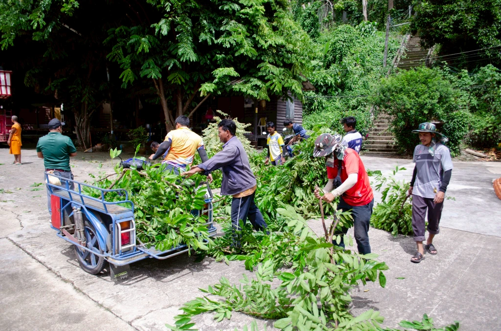 catalogs_file_390_46_11_616600.webp