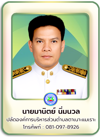 ปลัด